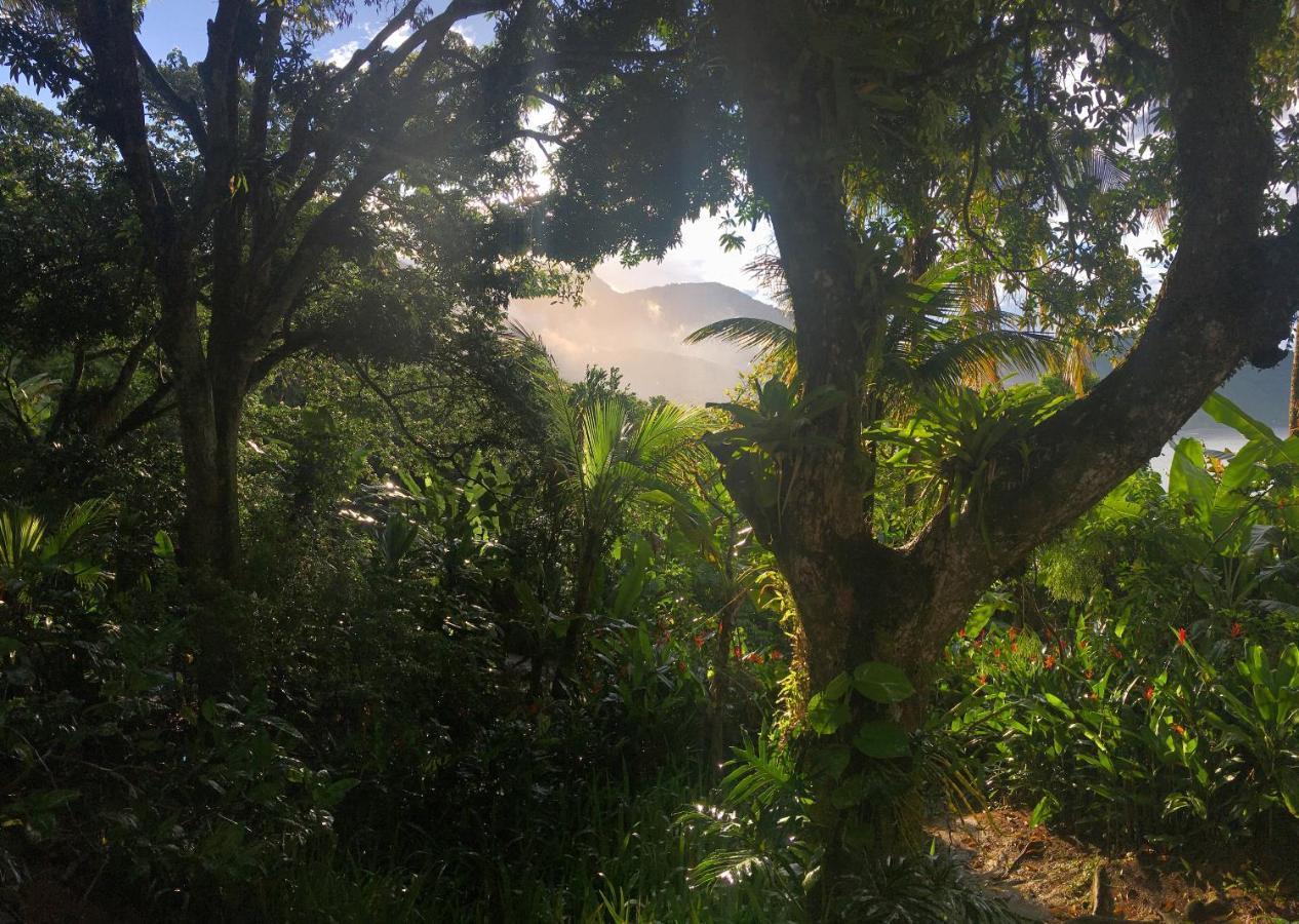 Jungle Lodge Abraão Eksteriør billede