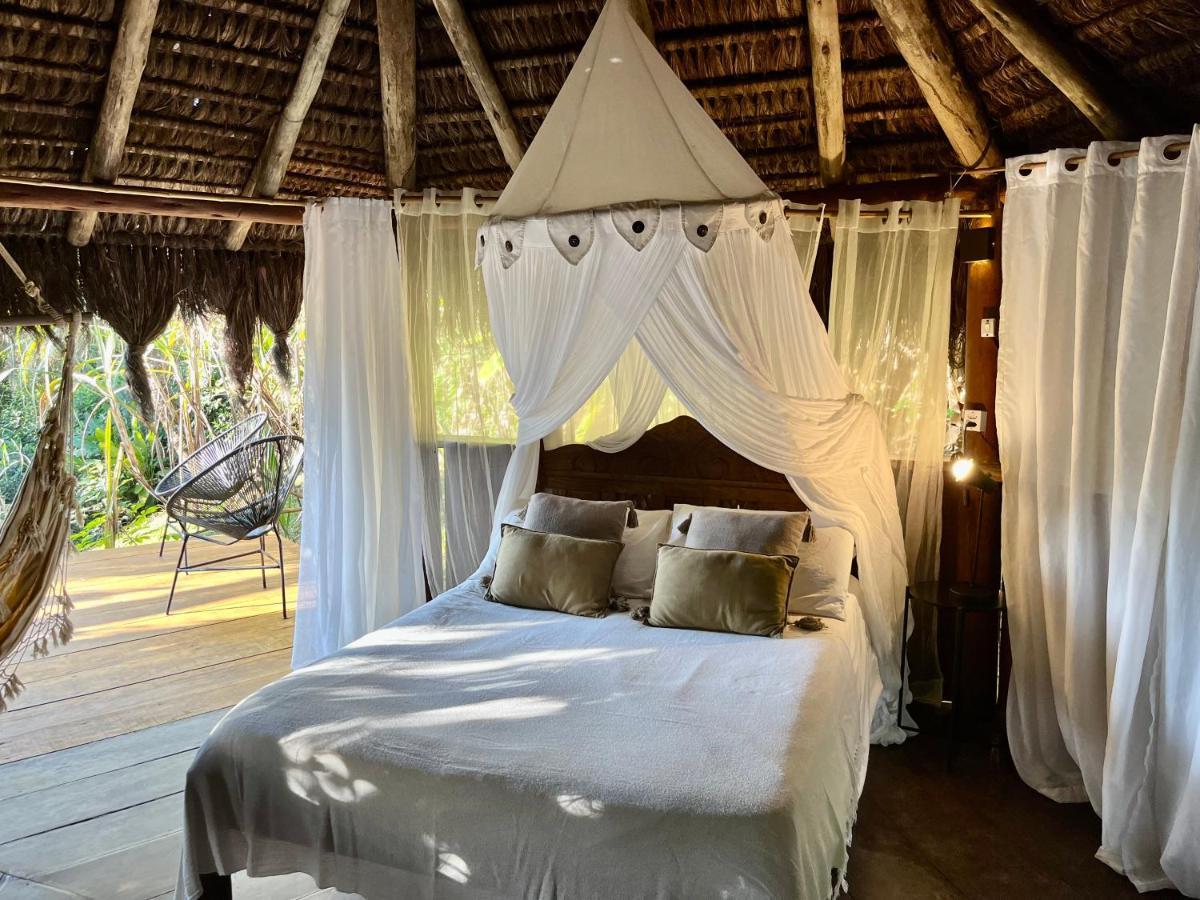 Jungle Lodge Abraão Eksteriør billede