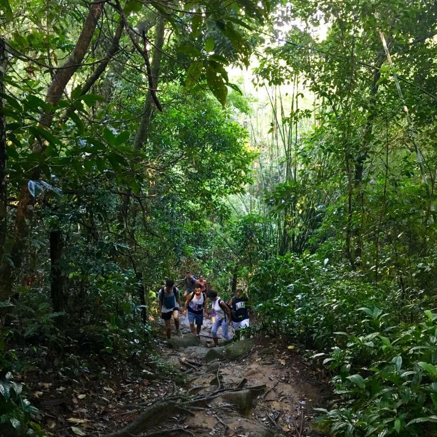 Jungle Lodge Abraão Eksteriør billede