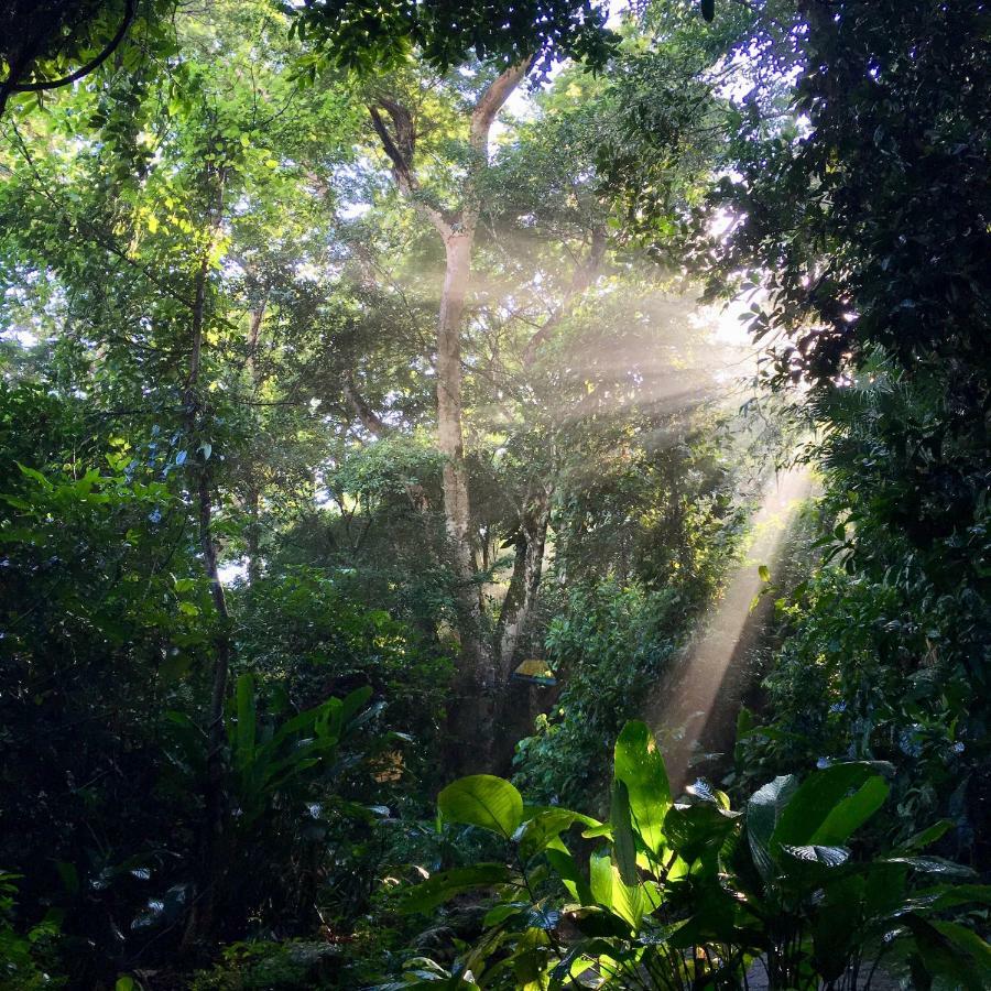 Jungle Lodge Abraão Eksteriør billede